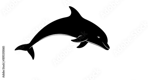 Silhouette of a leaping dolphin in black and white.