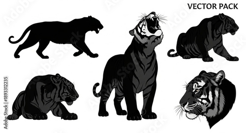 Set of Tiger Silhouettes and Illustrations Vector Pack.