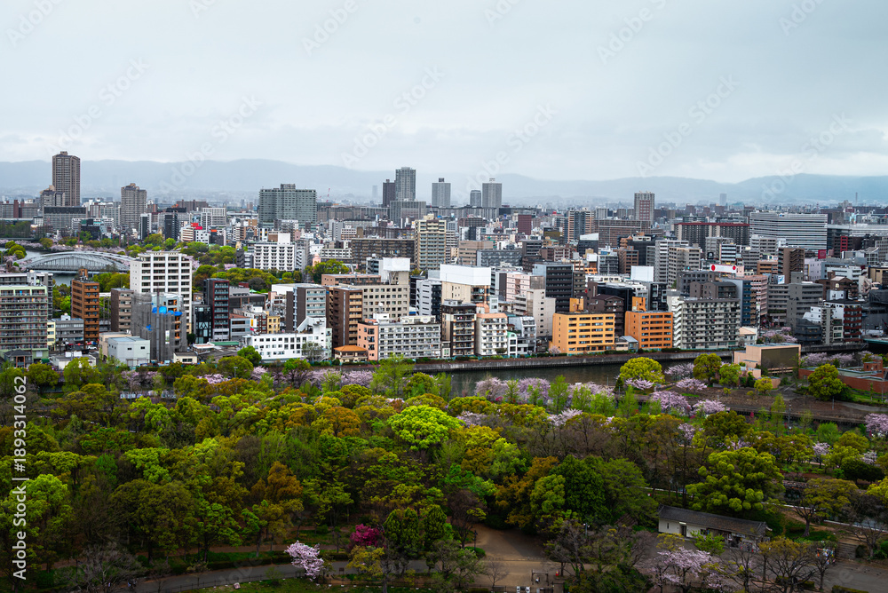 Fototapeta premium Aerial view captures Osaka’s urban landscape