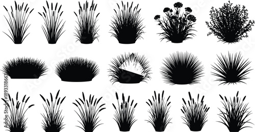 Black Silhouettes of Diverse Grass and Plant Species in Grid Layout for Botanical and Landscape Design Reference