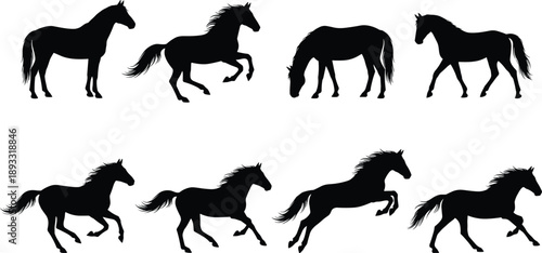Black Silhouettes of Horses in Varied Poses Depicting Equine Movement, Anatomy, and Behavior for Artistic and Educational Use