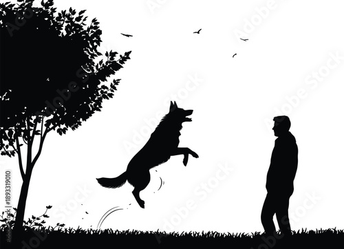 Silhouette of a person and a dog playing fetch in a park with a tree birds flying and grass under a clear sky