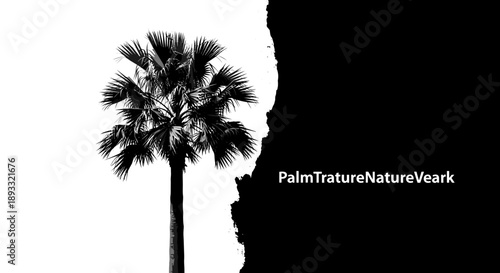 Striking Black and White Palm Tree Silhouette.