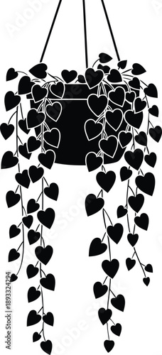 Ornamental black silhouette of hanging flower pot with lush trailing ivy vines and heart foliage for interior garden decoration.