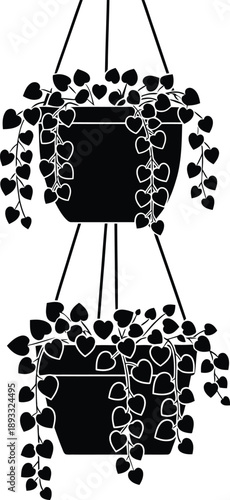 Decorative black silhouette of hanging flower pots with trailing ivy vines and lush leaves for interior garden design.