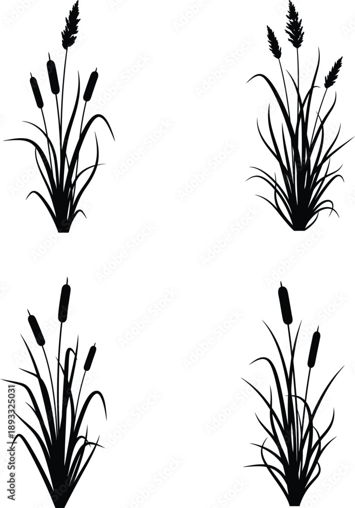 Obraz premium Vector collection of black silhouettes showing cattail reed grass isolated on white background for wetland nature design.