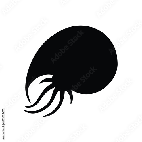 Elegant nautilus shell in profile, a beautiful natural spiral structure, vector illustration