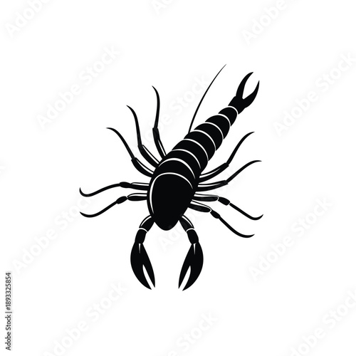 Delicate langoustine crustacean on white background, seafood ingredient illustration