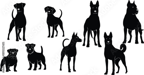 Collection of black silhouettes representing various dog breeds like terriers, bulldogs, and hounds standing in different poses for animal design projects.