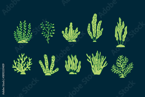Trendy coral reef hand drawn colorful doodle style set . Vector underwater ocean plants icon. Aquarium algae, laminaria, kelp water life All elements are isolated, design illustration