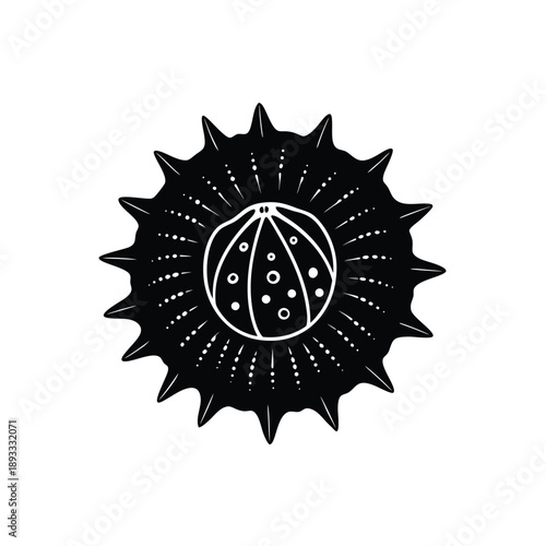 Vector illustration of a barnacle attached to a surface, highlighting its rough texture and marine environment.