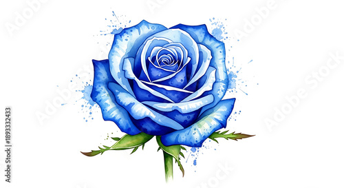 Stunning Blue Rose with White Edges and Water Droplets - Rare Exotic Flower with Dew on Petals Romantic Floral Art