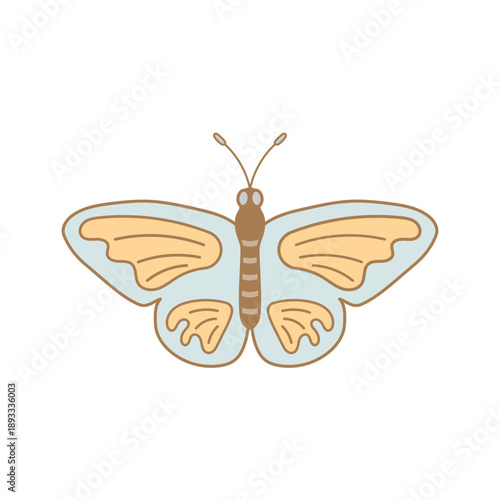 butterfly isolated on white background