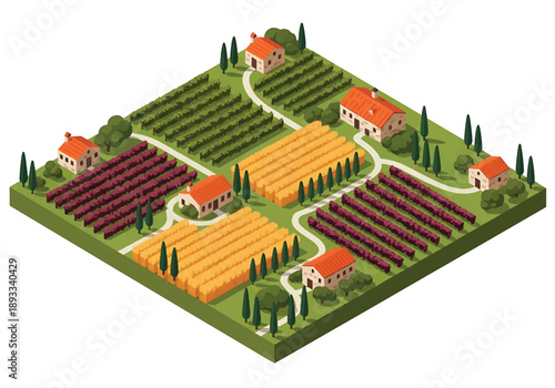 Isometric 3D view illustration of a Tuscany-inspired countryside landscape with vineyards, rolling hills, farmhouses, cypress trees, and scenic rural roads in vector style