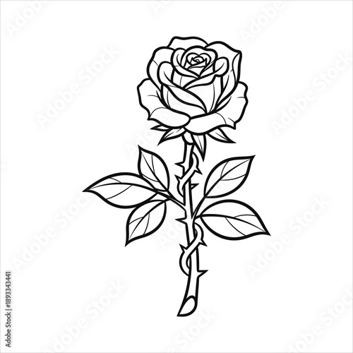 Black and white line art of a single rose with thorns flower bloom