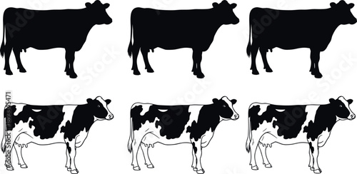 Set of black silhouettes and spotted dairy cows vector illustration isolated on white background for farming