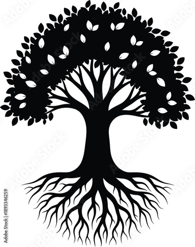 Black silhouette of a tree with visible roots and leaves on white background vector