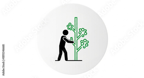 Person pruning a small fruit tree with shears.