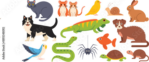 Cute Animal Character Vector Set Pets, Birds, Reptiles, and Small Wildlife Icons