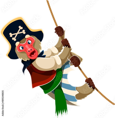 Cartoon vector monkey animal pirate character swinging on a rope with striped pants and red vest. Funny corsair wears a black pirate hat with skull, holding tightly with both hands while grinning