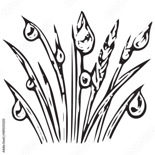 Grass With Dew Drops Illustration – Botanical Nature Line Art