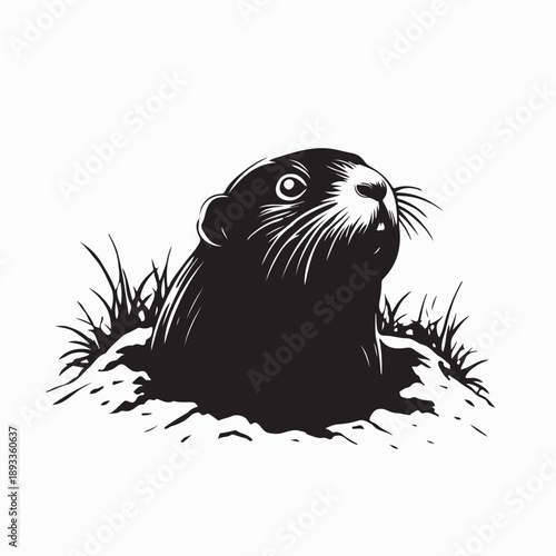 Mole come out of the hole Image Vector Isolated on White Background