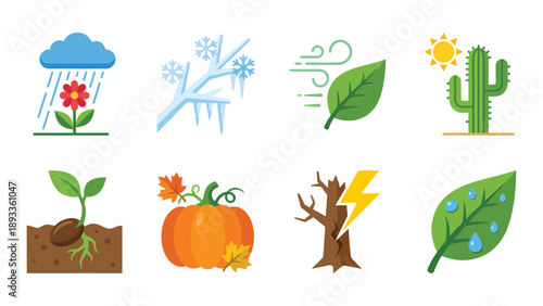 Nature, Weather, and Seasons Icon Set with Plant Life Cycle and Environmental Concepts