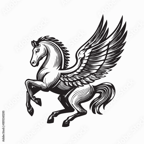 Pegasus Horse with Wings Flying Image Vector Isolated on White Background