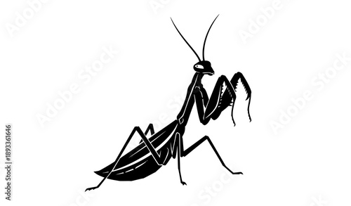 Praying Mantis Hunting Pose Silhouette Vector Graphic on White Background