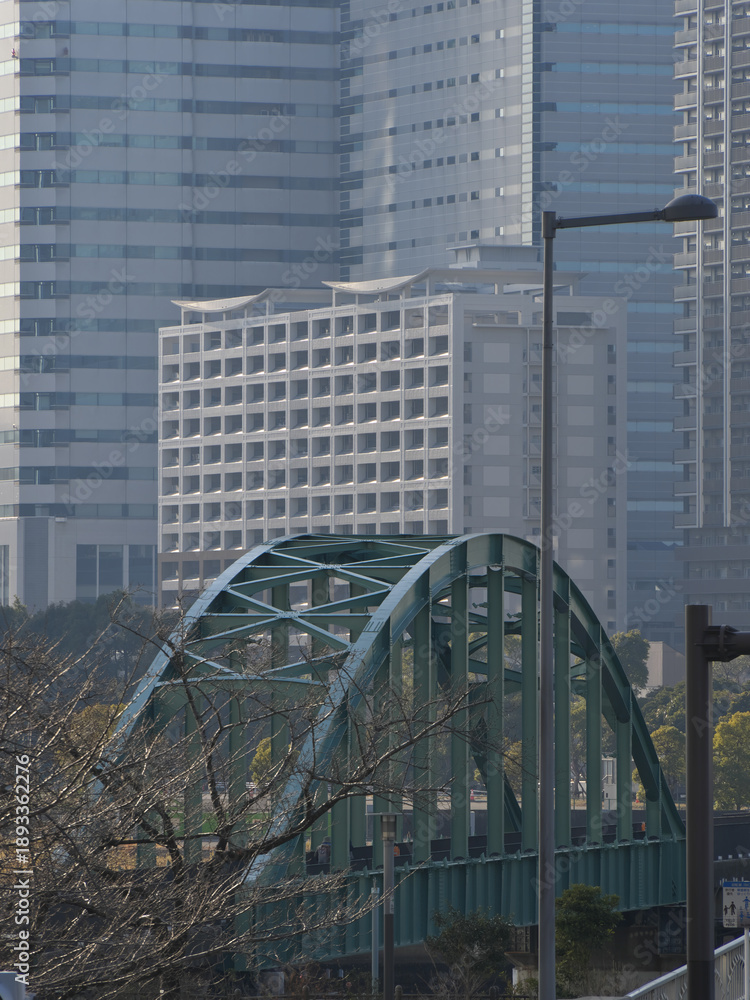 Fototapeta premium 都市をつなぐ橋と高層建築