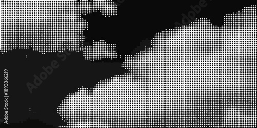 Abstract black and white pattern resembling a coastline or landscape