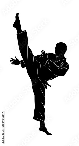 Dynamic martial arts silhouette of a person executing a powerful high kick, showcasing discipline and strength in motion