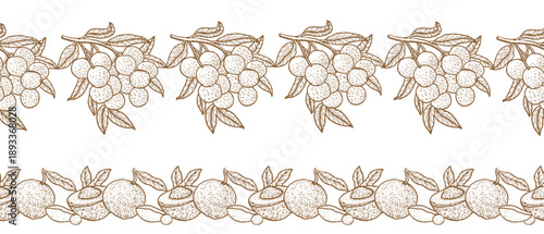 Longan fruit seamless border template for food packaging, textile, wrapping papers. Tropical fruits sketch border.