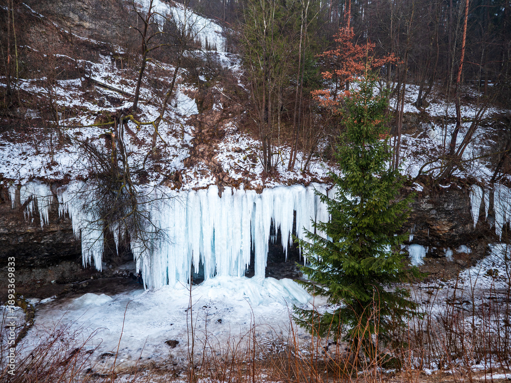 Obraz premium Icefall on a limestone cliff near Matejovce nad Hornádom in Slovak Paradise, Slovakia, viewed from the opposite hillside with a spruce tree in the foreground. Winter nature attraction for tourism.