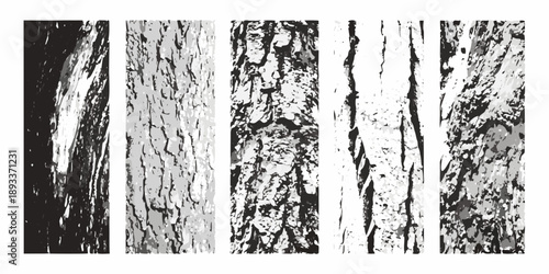 Five vertical panels displaying grayscale textures of tree bark