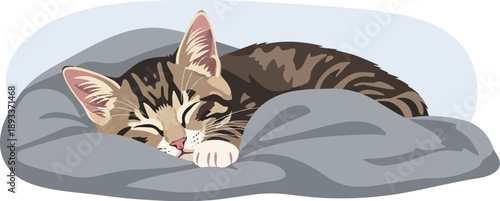 A sleeping tabby kitten cuddles into a soft gray blanket