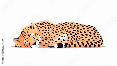 A spotted cheetah rests peacefully, curled up in a ball, eyes closed