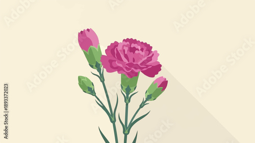 A stylized illustration of a pink carnation with buds and long shadows