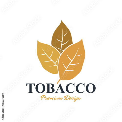 Cigar Tobacco Leaf Illustration Design
