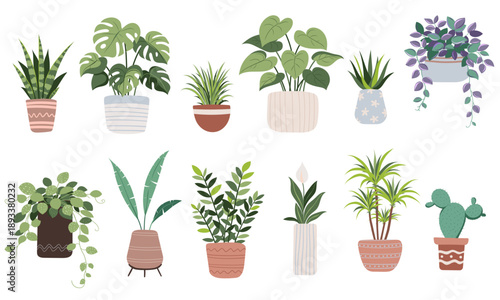 Cute House Plants Set in ceramic Pots,  Hand Drawn Flat Vector Set. Decorative Indoor Plant Collection, Isolated on White. 