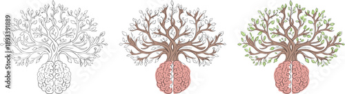 Mental growth and psychology concept Human brain tree with green leaves line art set