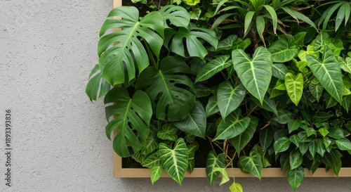 Lush Green Vertical Garden with Monstera Leaves
