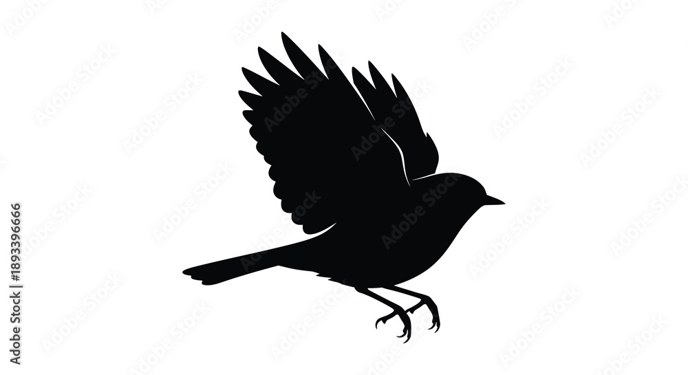 Fototapeta premium A black bird in flight with outstretched wings a striking silhouette