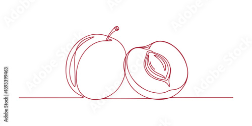 A simple doodle graphic depicting two plums cut in a single line, ideal for any design project.

