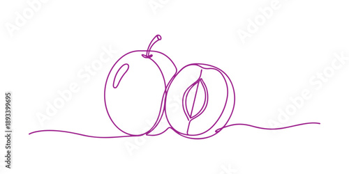 Graphic illustration in a doodle style featuring two plums cut in one line, suitable for various designs.

