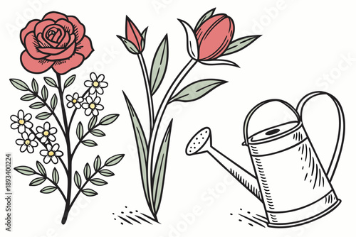 Elegant hand-drawn vector set featuring a classic red rose, delicate daisy-like flowers, budding tulips, and a vintage watering can, perfect for garden, nature, spring, and floral designs.