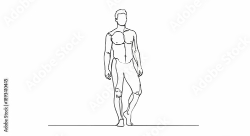 Line drawing of a muscular male figure standing confidently.