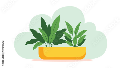 Modern flat illustration of green leafy indoor plants in a rectangular yellow pot set against a soft pale green cloud shape backdrop.