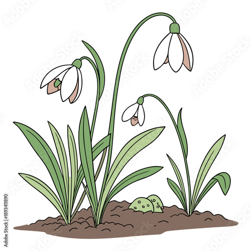 Spring Plant Growth Concept Illustration  Flat Vec SVG Vector Design
