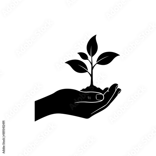 Hand Holding a Plant Sprout